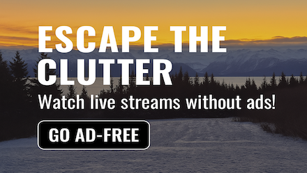 Escape The Clutter - Go Ad-Free Call To Action Stream Card