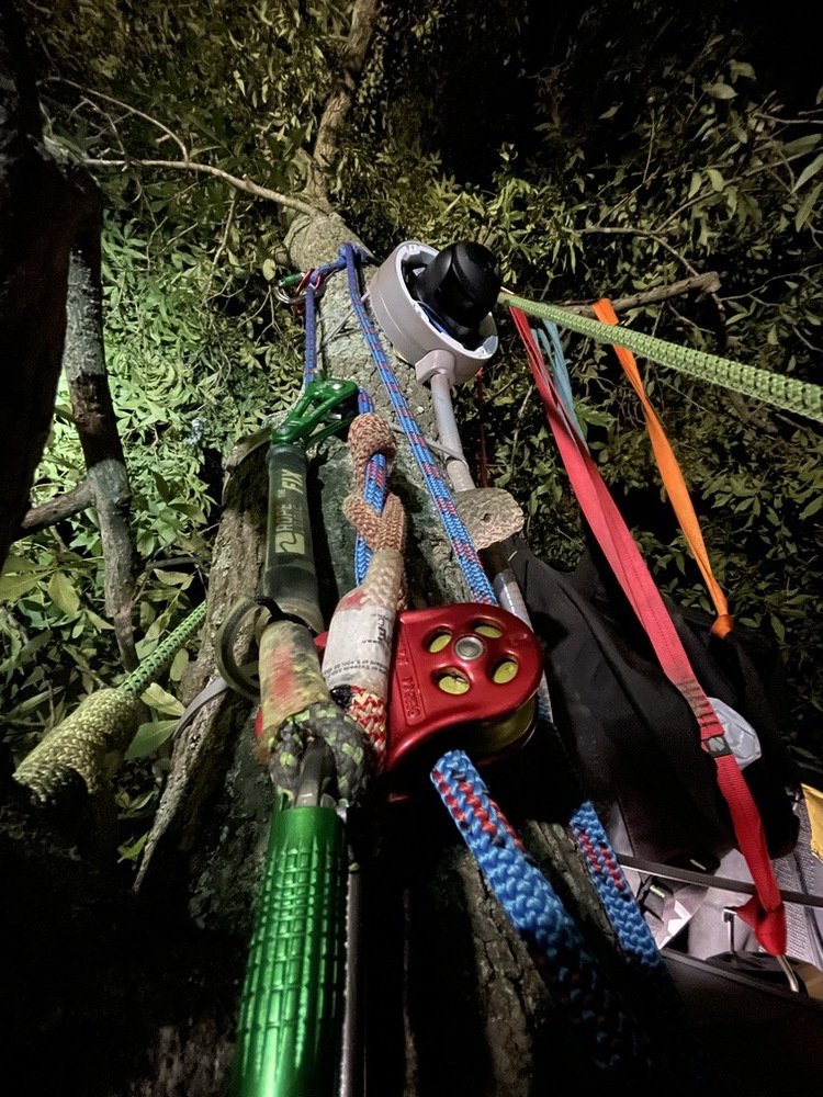 Dulles Greenway Live Eagle Cam Installation Tree Climbing Gear and PTZ camera