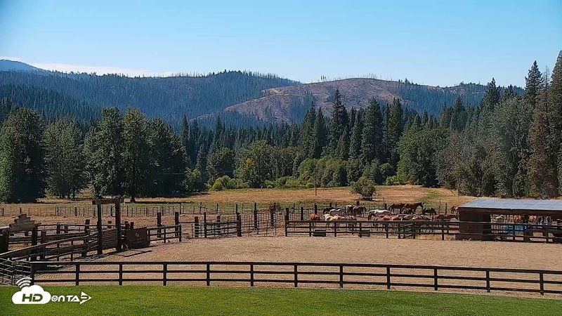 Greenhorn Ranch Live Horse Arena Cam Snapshot Image 2025-09-24 08-12-38PM