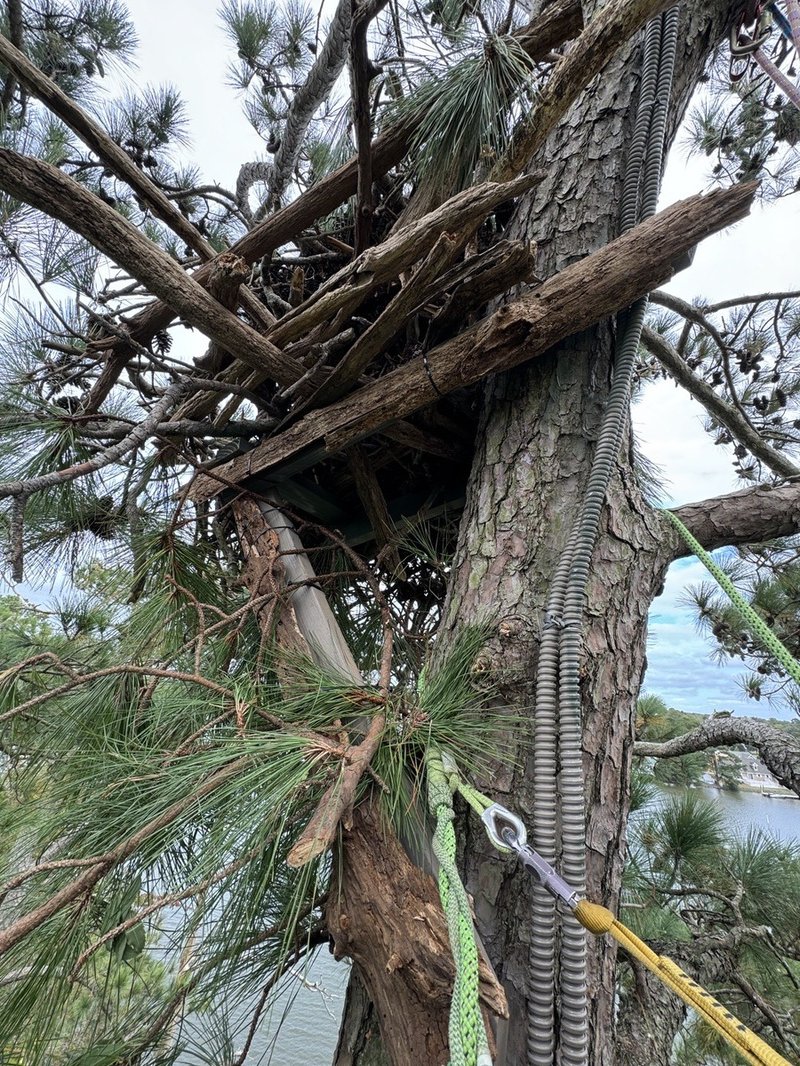 Delaware Botanic Gardens Nest and Conduit