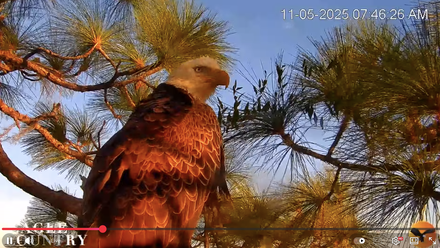 Screen Shot 2025-11-05 at 2.02.49 PM