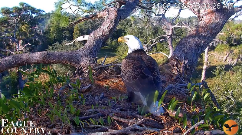 Screen Shot 2025-11-05 at 2.03.24 PM