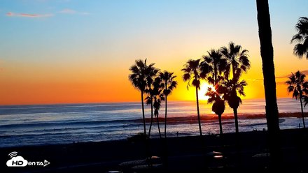 Venice Beach Live Surf Cam