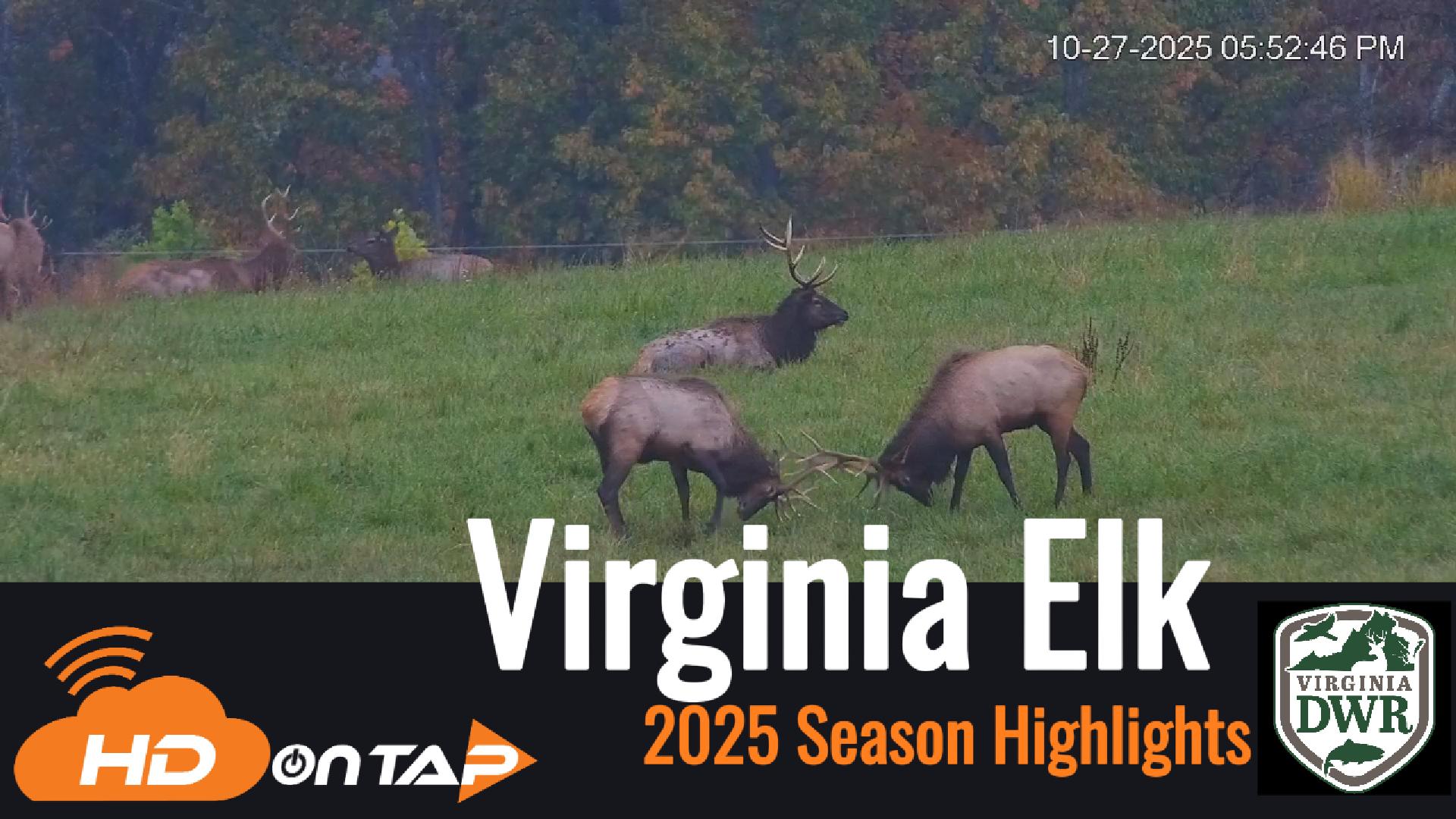 Offline poster image