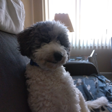 Profile picture