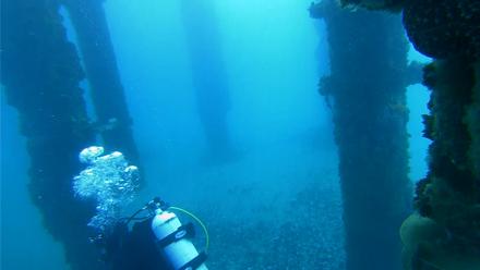 Scripps Pier Underwater Live Webcam - Jan 24, 2026, 8:28am PST