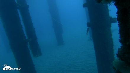 Scripps Pier Underwater Live Webcam - Oct 17, 2026, 7:02am PDT