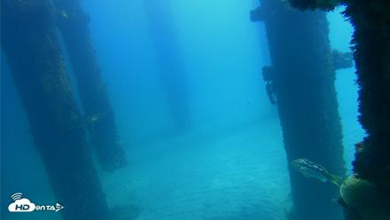 Scripps Pier Underwater Live Webcam - Oct 6, 2026, 12:09pm PDT