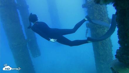 Scripps Pier Underwater Live Webcam - Oct 19, 2026, 5:02pm PDT