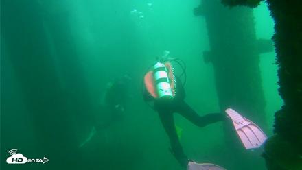 Scripps Pier Underwater Live Webcam - Oct 1, 2026, 2:07pm PDT