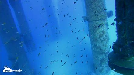 Scripps Pier Underwater Live Webcam - Jul 29, 2026, 5:28pm PDT