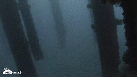 Scripps Pier Underwater Live Webcam - Oct 19, 2026, 6:34am PDT
