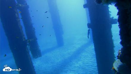 Scripps Pier Underwater Live Webcam - Oct 19, 2026, 10:12am PDT
