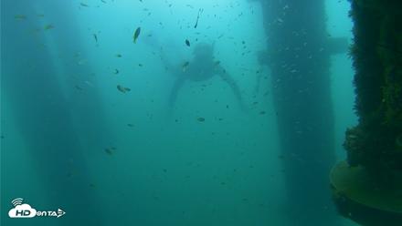 Scripps Pier Underwater Live Webcam - Aug 29, 2026, 8:40am PDT