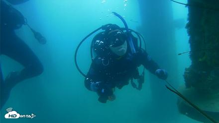 Scripps Pier Underwater Live Webcam - Aug 13, 2026, 10:19am PDT