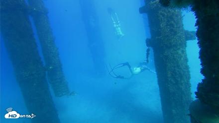 Scripps Pier Underwater Live Webcam - Oct 19, 2026, 3:52pm PDT
