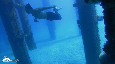 Scripps Pier Underwater Live Webcam - Oct 19, 2026, 12:05pm PDT