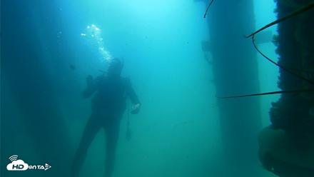 Scripps Pier Underwater Live Webcam - Aug 18, 2026, 10:46am PDT