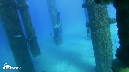Scripps Pier Underwater Live Webcam - Oct 18, 2026, 4:14pm PDT