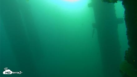 Scripps Pier Underwater Live Webcam - Oct 13, 2026, 7:43am PDT