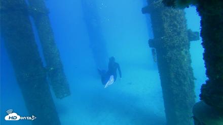 Scripps Pier Underwater Live Webcam - Oct 19, 2026, 3:44pm PDT
