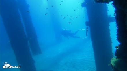 Scripps Pier Underwater Live Webcam - Oct 5, 2026, 10:50am PDT