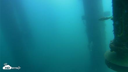 Scripps Pier Underwater Live Webcam - Jul 22, 2026, 12:02pm PDT