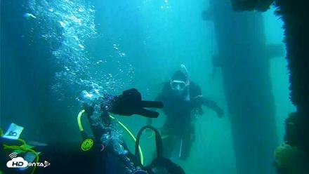 Scripps Pier Underwater Live Webcam - Sep 17, 2026, 12:30pm PDT