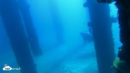 Scripps Pier Underwater Live Webcam - Oct 5, 2026, 10:48am PDT