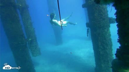 Scripps Pier Underwater Live Webcam - Oct 18, 2026, 3:31pm PDT