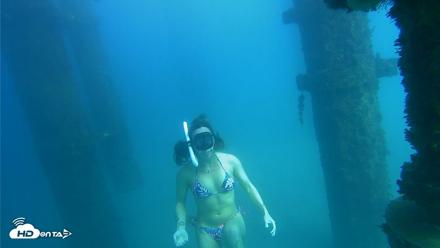 Scripps Pier Underwater Live Webcam - Oct 15, 2026, 3:06pm PDT