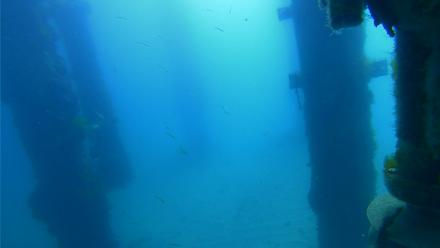 Scripps Pier Underwater Live Webcam - Mar 19, 2026, 10:34am PDT