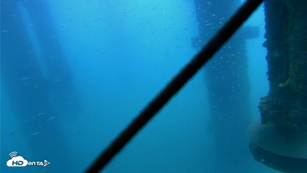 Scripps Pier Underwater Live Webcam - Aug 3, 2026, 7:02am PDT