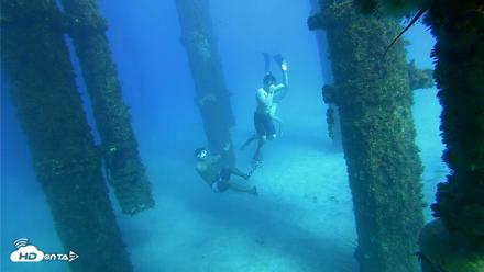 Scripps Pier Underwater Live Webcam - Oct 18, 2026, 4:03pm PDT
