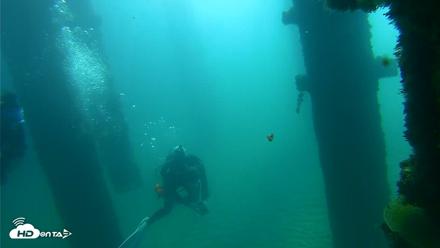 Scripps Pier Underwater Live Webcam - Oct 6, 2026, 9:43am PDT