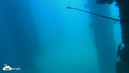 Scripps Pier Underwater Live Webcam - Sep 16, 2026, 1:20pm PDT