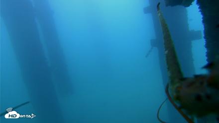 Scripps Pier Underwater Live Webcam - Sep 16, 2026, 7:32am PDT
