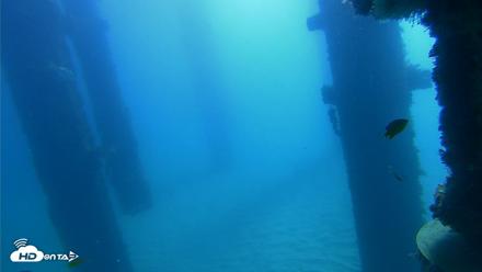 Scripps Pier Underwater Live Webcam - Oct 21, 2026, 10:31am PDT