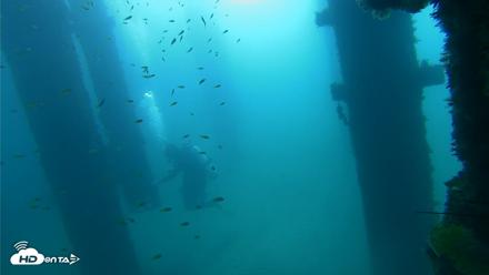 Scripps Pier Underwater Live Webcam - Sep 28, 2026, 9:12am PDT