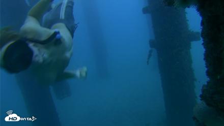 Scripps Pier Underwater Live Webcam - Oct 19, 2026, 6:04pm PDT