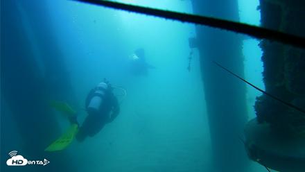 Scripps Pier Underwater Live Webcam - Aug 11, 2026, 11:03am PDT