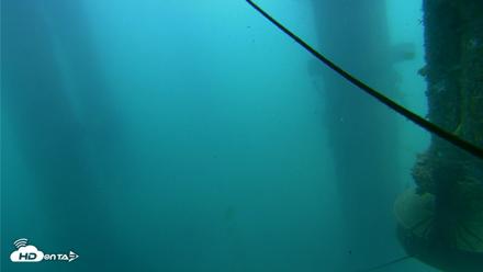 Scripps Pier Underwater Live Webcam - Jul 22, 2026, 11:36am PDT