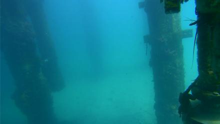 Scripps Pier Underwater Live Webcam - Mar 13, 2026, 1:28pm PDT