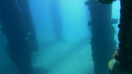 Scripps Pier Underwater Live Webcam - Sep 15, 2025, 11:06am PDT