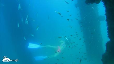 Scripps Pier Underwater Live Webcam - Sep 16, 2026, 3:43pm PDT