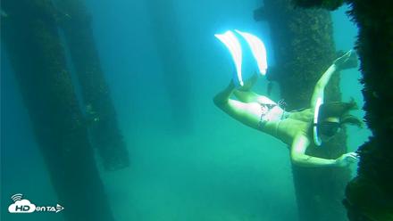 Scripps Pier Underwater Live Webcam - Sep 24, 2026, 2:56pm PDT