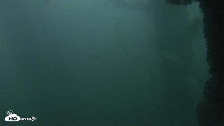 Scripps Pier Underwater Live Webcam - Oct 12, 2026, 6:39am PDT