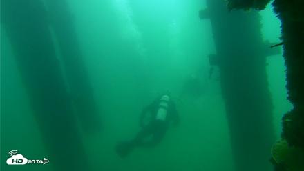 Scripps Pier Underwater Live Webcam - Sep 17, 2026, 10:51am PDT