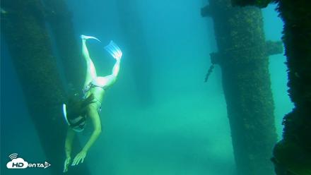 Scripps Pier Underwater Live Webcam - Sep 24, 2026, 2:39pm PDT