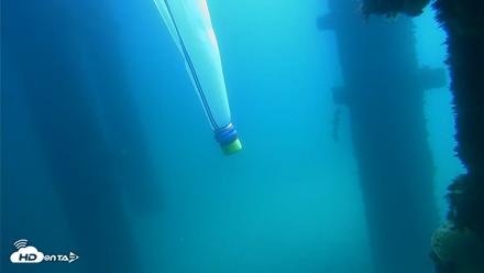 Scripps Pier Underwater Live Webcam - Sep 17, 2026, 12:11pm PDT